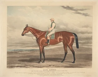 Course : Blue Bonnet. Le vainqueur des grandes St. Leger Stakes à Doncaster en 1842