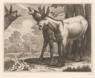 Ânes braillants, Dierenserie (titre de la série)