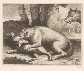 Chien attaqué par un loup (Série d