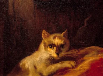 Mademoiselle de Charolais (détail représentant le chat)