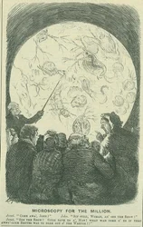 Microscopie pour les millions : 1878 (gravure)