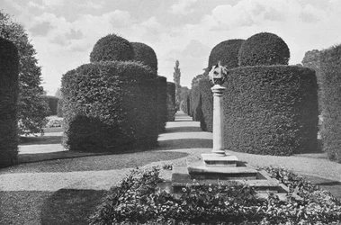 Heslington Hall : Travail de Topiaire Élégant