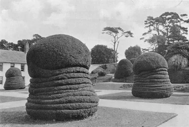 Ifs Comme des Concertinas