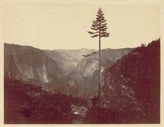 Vallée de Yosemite depuis le sentier de Mariposa, vers 1865