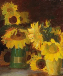 Français :  Tournesols Tournesols