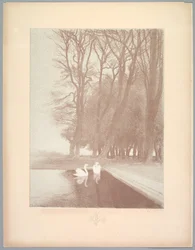 Suite de Paysages: Paysage, Planche 6, Remarque, Lys