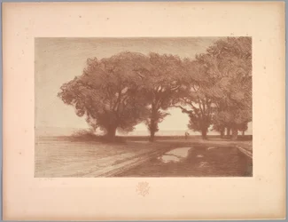 Suite de paysages: Paysage, Planche 8, Remarque, Pensées, 1892-1893