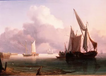 Estuaire calme avec des pinks néerlandais