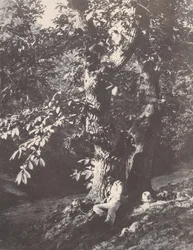 Homme allongé au pied d