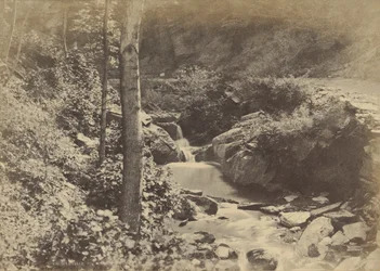 [La Vallée Suisse à St. Goarshausen]