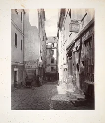 Rue d