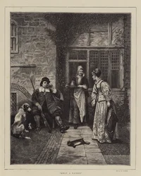 Seulement un lapin