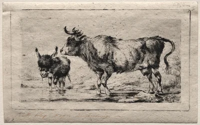 Vache et âne