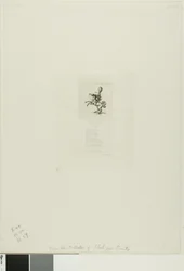 Petit prince Dito