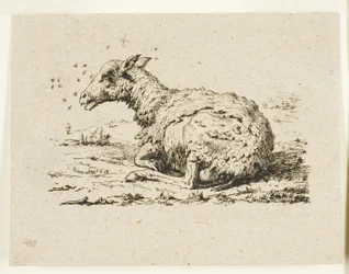 Le Mouton et les Mouches