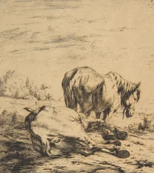 Deux chevaux
