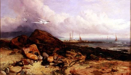 Scène de rivage avec bateau de pêche et sternes