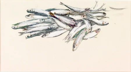 Étude de poissons