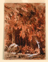 Dans les bois