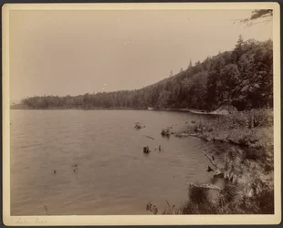 Lac Saco