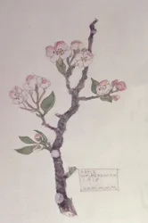 Pomme, Walberswick, 1915