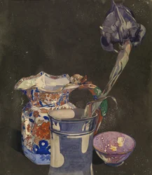 Iris gris