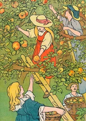 Cueillir les fruits, 1912