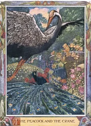 Le Paon et la Grue