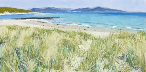 Herbes de plage, Berneray, 2011 (huile sur toile)