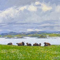 Dozing Sheep, Iona, 2015 (huile sur toile)