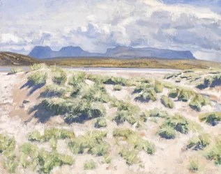 Dunes, Achnahaird, 2017 (huile sur toile)