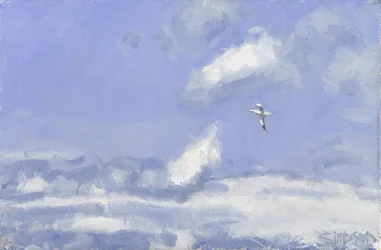 Fou de Bassan et nuages, 2016 (huile sur toile)