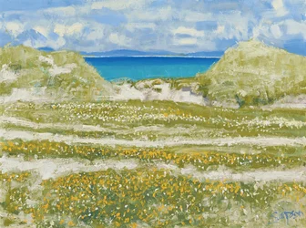 Aperçu de Harris, 2014 (huile sur toile)