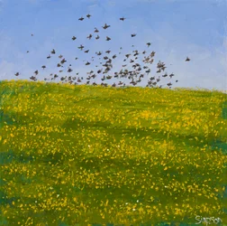 Étourneaux et boutons d