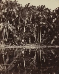 Tetiaroa - Un lagon des Paumotu, années 1880 ou 1890