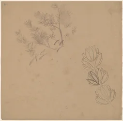 Étude pour une bordure avec un croquis d