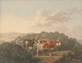 Femme avec bétail