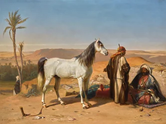 Un Arabe dans le désert