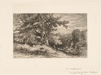 Paysage avec arbre tombé