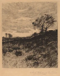 Paysage
