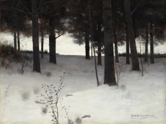 Bois en hiver