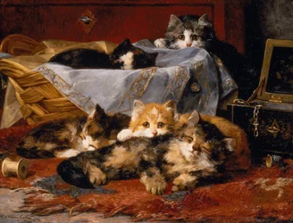Chatons près d