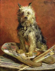 Le chien de l