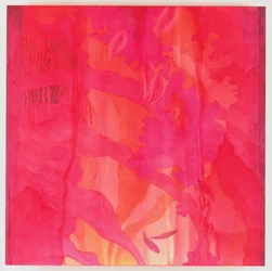 Mascarene Maya, 2000