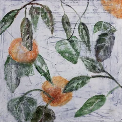 Oranges et feuilles vertes