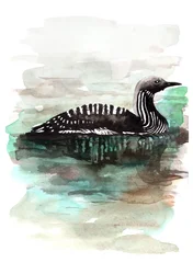 Canard, 2020