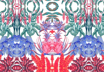 Jungle Jim, 2015