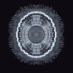 Cellule Végétale 0.2