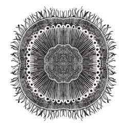 Cellules végétales, 2019