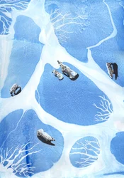 Ours polaires, 2021